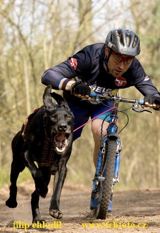 Polsko 2005 - 538.jpg